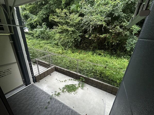 アヴェルラ・プラスの物件内観写真